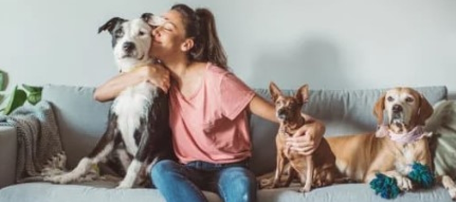Inquilino pode ter animal de estimação no imóvel? 